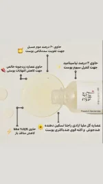 سرم نیاسینامید و پروپولیس بیوتی اف جوسان BEAUTY OF JOSEON GLOW SERUM - تصویر 4