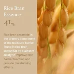 کرم مرطوب کننده و روشن کننده آیم فرام I’m From Rice Cream - تصویر 6