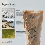 ست پاکسازی و کنترل چربی مو و کف سر نمک دریا گروس GROWUS Deep Purifying Set