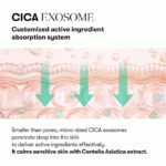 آمپول PDRN پپتید سرامید آبرسان و مرطوب کننده وی تی- VT PDRN Cica Exosome 31 VT PDRN Peptide Ceramide