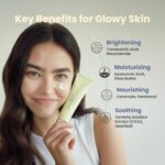 کرم TXA ضدلک و روشن کننده اکسیس وای AXIS-Y TXA 2.5% Intensive Brightening Cream - Image 2