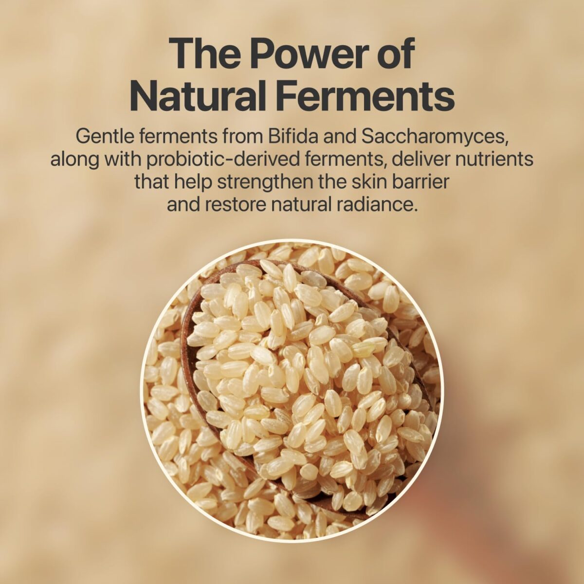 تونر درخشان کننده و آبرسان بیفیدا نامبوزین numbuzin N3 Super Glowing Essence Toner - Image 4