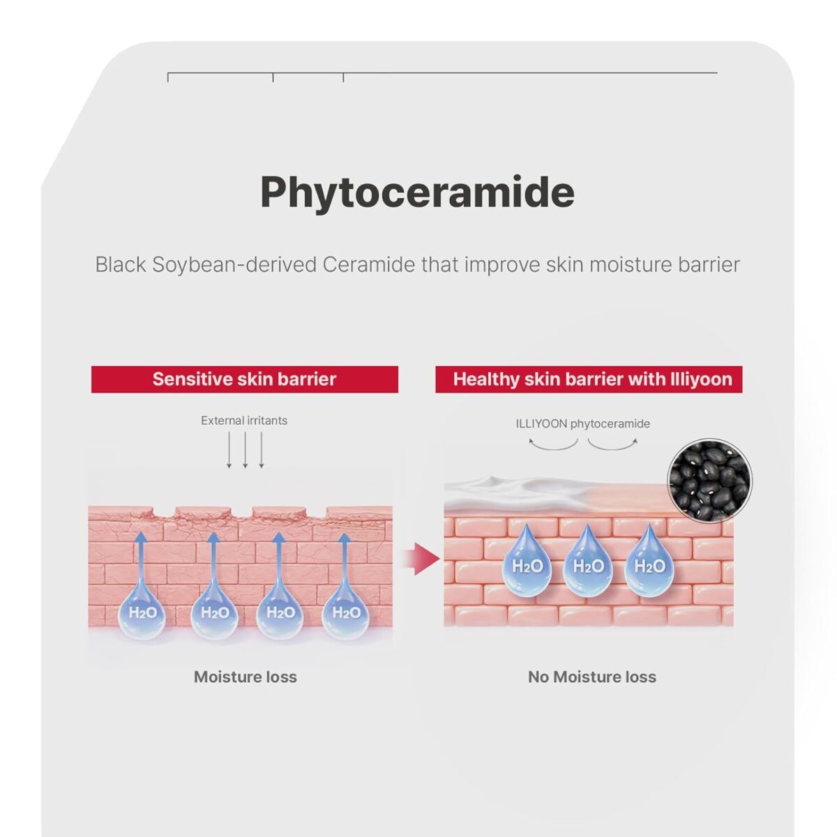 کرم آبرسان و مرطوب کننده 100 ساعته صورت و بدن ایلیون Illiyoon Ceramide Ato Concentrate Cream - Image 4