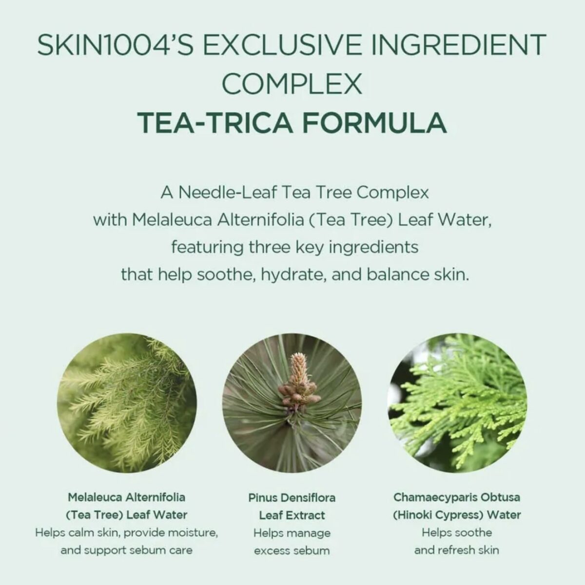 کیت مسافرتی ضدجوش و التهاب تی تریکا اسکین 1004 SKIN1004 Centella Tea Trica Travel Kit