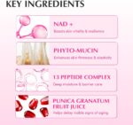 کرم NAD و پپتید جوانساز و ضدپیری اکوال بری EQQUALBERRY NAD+ Peptide Boosting Cream - Image 2