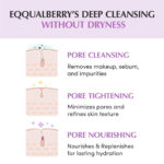 شوینده روغنی کنترل منافذ برنج اکوال بری EQQUALBERRY PURPLE RICE POR CLEANSING OIL - Image 2
