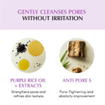 شوینده روغنی کنترل منافذ برنج اکوال بری EQQUALBERRY PURPLE RICE POR CLEANSING OIL - Image 9