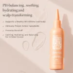 تونیک اسکالپ آبرسان و احیا مو هیربرست HAIR BRUST HYDRATING & BALANCING SCALP TONIC - Image 4