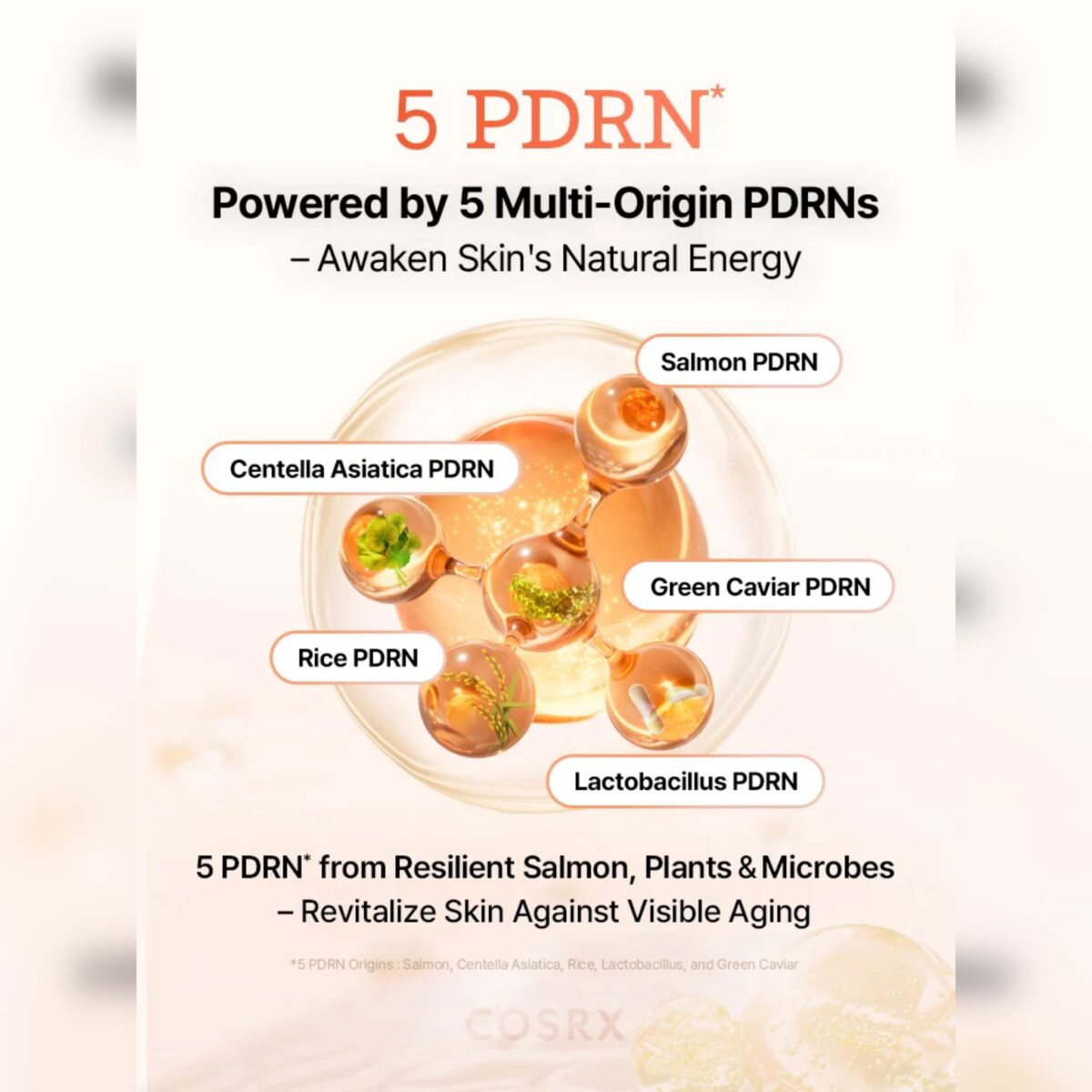 تونر 5 PDRN احیا و درخشان کننده کوزارکس COSRX 5PDRN B5 VITAL SOOTHING TONER - Image 11