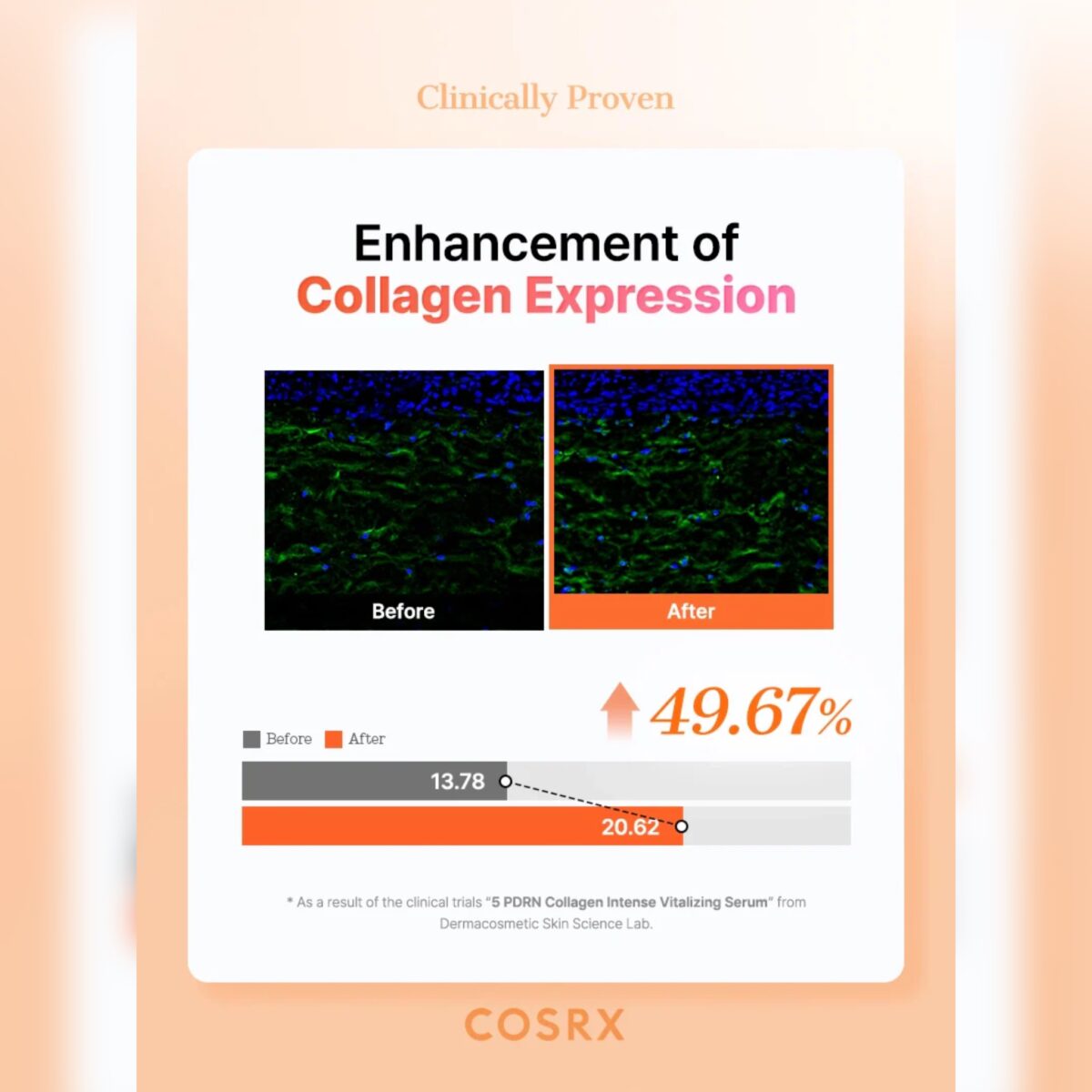 سرم کلاژن و PDRN جوانساز و درخشان کننده کوزارکس COSRX 5PDRN COLLAGEN INTENSE VIT SERUM - Image 11