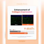 سرم کلاژن و PDRN جوانساز و درخشان کننده کوزارکس COSRX 5PDRN COLLAGEN INTENSE VIT SERUM - Image 11