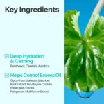 تونر آبرسان تسکین دهنده و کنترل چربی نامبوزین numbuzin No.1 Pure-Full Calming Herb Toner - Image 4