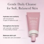 شوینده رزهیپ و کیک برنج آرنسیا ARENCIA Rosehip Rice Cake Cleanser - Image 4