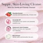 شوینده رزهیپ و کیک برنج آرنسیا ARENCIA Rosehip Rice Cake Cleanser