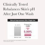 شوینده رزهیپ و کیک برنج آرنسیا ARENCIA Rosehip Rice Cake Cleanser - Image 2