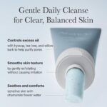شوینده هایسوپ و کیک برنج آرنسیا ARENCIA Hyssop Sebum Control Rice Cake Cleanser