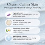 شوینده هایسوپ و کیک برنج آرنسیا ARENCIA Hyssop Sebum Control Rice Cake Cleanser - Image 2