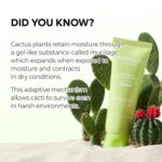 شوینده ژلی آبرسان و رفع منافذ کاکتوس دکتر ملاکسین DR.MELAXIN CACTOX Pore Relief Gel Cleanser
