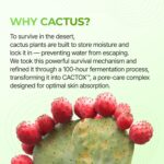 پک ماسک بینی 3 مرحله کاکتوس دکتر ملاکسین DR.MELAXIN CACTOX 3-Step Nose Mask Pack - Image 4