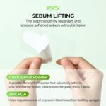 پک ماسک بینی 3 مرحله کاکتوس دکتر ملاکسین DR.MELAXIN CACTOX 3-Step Nose Mask Pack - Image 11