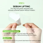 پک ماسک بینی 3 مرحله کاکتوس دکتر ملاکسین DR.MELAXIN CACTOX 3-Step Nose Mask Pack - تصویر 11
