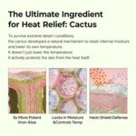 بالم استیکی کاکتوس دکتر ملاکسین رفع منافذ باز و خنک کننده Dr.Melaxin Cactox Pore Relief Multi Balm Stick - Image 4