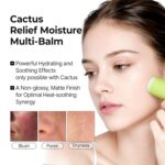 بالم استیکی کاکتوس دکتر ملاکسین رفع منافذ باز و خنک کننده Dr.Melaxin Cactox Pore Relief Multi Balm Stick - Image 9
