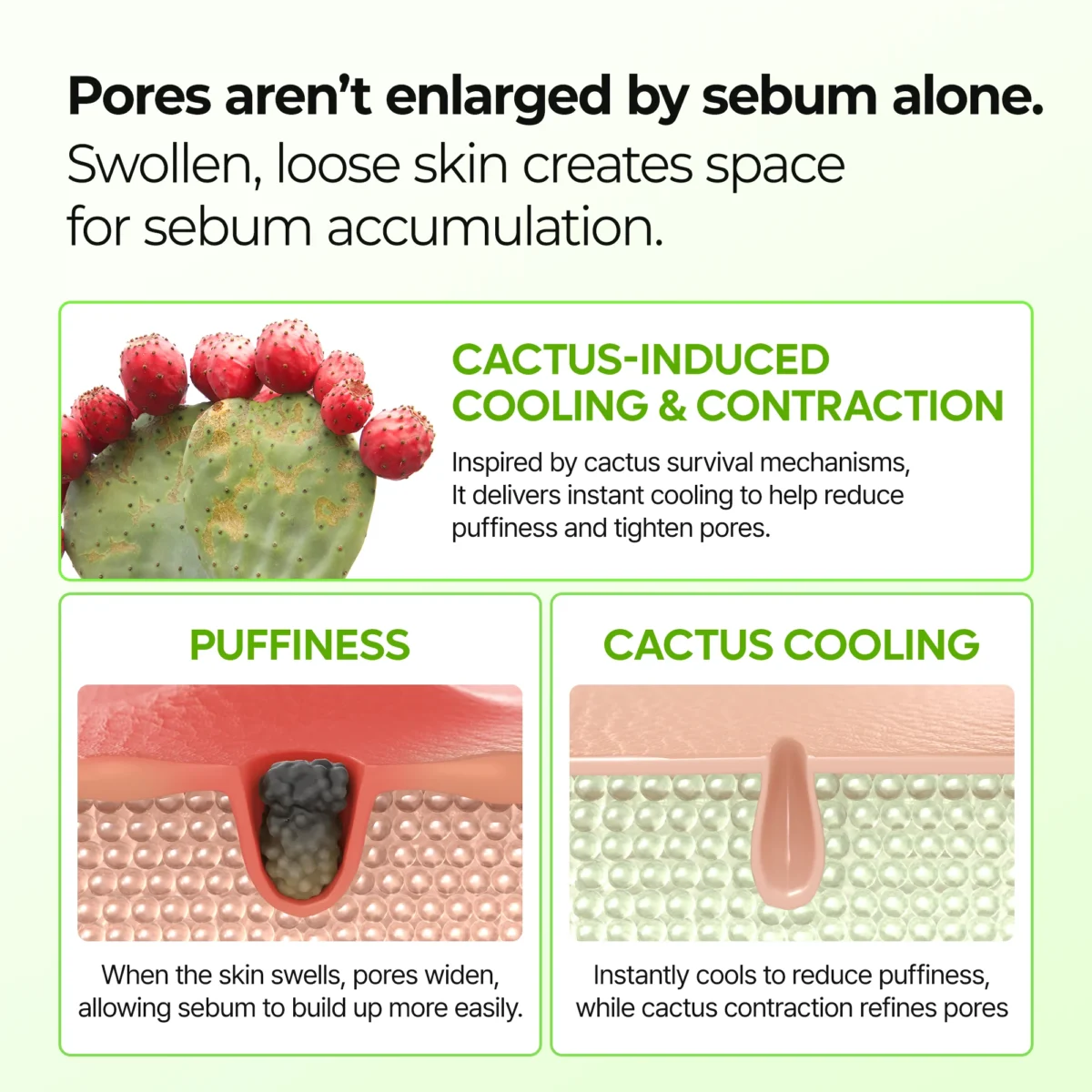 ست بالم کلسیوم و کاکتوس دکتر ملاکسین رفع منافذ و جوانساز Dr.Melaxin Cactox & Collagen Multi Pore Firming Balm Duo - Image 12