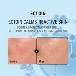 کرم دوگانه اکتوئین و پانتنول اپی ترمیم‌کننده،تسکین‌دهنده و آبرسان قوی epii Double Up Cream Ectoin & Panthenol