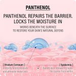 کرم دوگانه اکتوئین و پانتنول اپی ترمیم‌کننده،تسکین‌دهنده و آبرسان قوی epii Double Up Cream Ectoin & Panthenol - Image 2