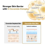 کرم کپسولی برنج و سرامید وی تی مرطوب کننده و تقویت سد دفاعی VT Rice Ceramide Capsule Cream - تصویر 6