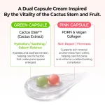 کرم کپسولی کاکتوس دکتر ملاکسین 2گانه آبرسان و رفع منافذ Dr.Melaxin Cactox Pore Relief Dual Capsule Cream - Image 7