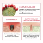 کرم کپسولی کاکتوس دکتر ملاکسین 2گانه آبرسان و رفع منافذ Dr.Melaxin Cactox Pore Relief Dual Capsule Cream - Image 5